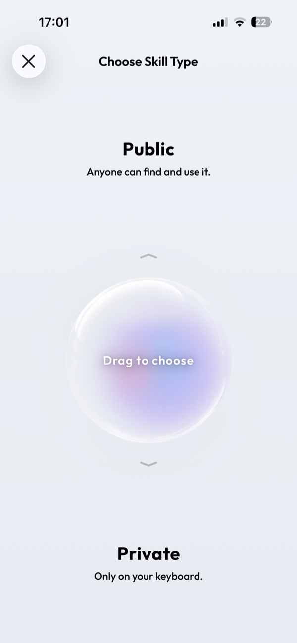 Choose Skill Type の画面。上に Public、下に Private、真ん中に Drag to choose と書かれた玉がある